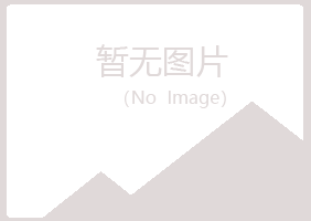 麻山区残缺演艺有限公司